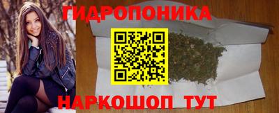 apvp Дубна