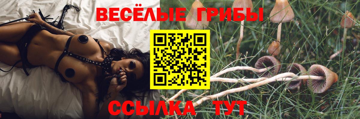 Псилоцибиновые грибы ЛСД Москва